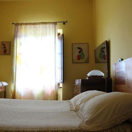 Bio Agriturismo Podere Pretoia San Gimignano Ngoại thất bức ảnh
