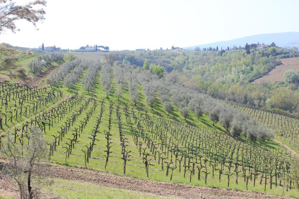 Bio Agriturismo Podere Pretoia San Gimignano Ngoại thất bức ảnh