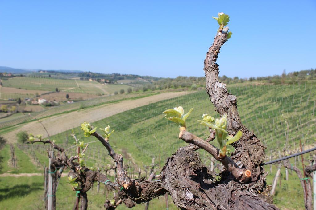 Bio Agriturismo Podere Pretoia San Gimignano Ngoại thất bức ảnh