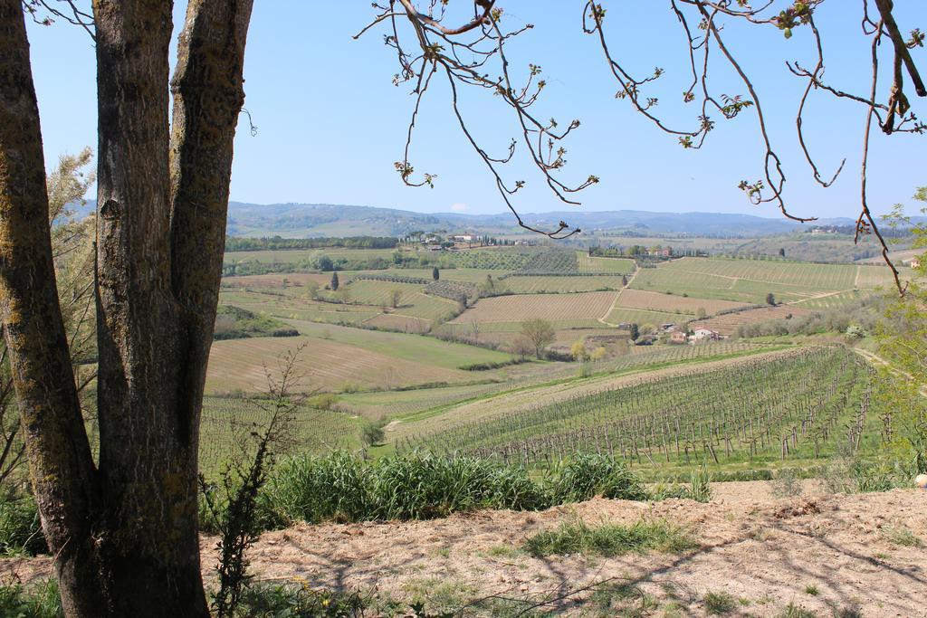Bio Agriturismo Podere Pretoia San Gimignano Ngoại thất bức ảnh